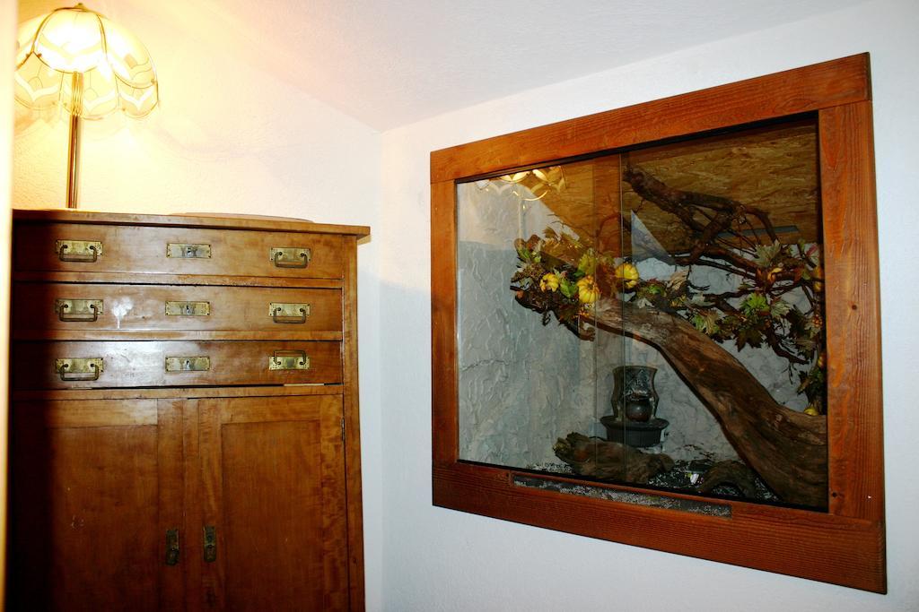 Ferienwohnung Rita Bad Mitterndorf Extérieur photo
